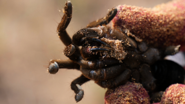 ▲'극한직업'(사진제공=EBS1)