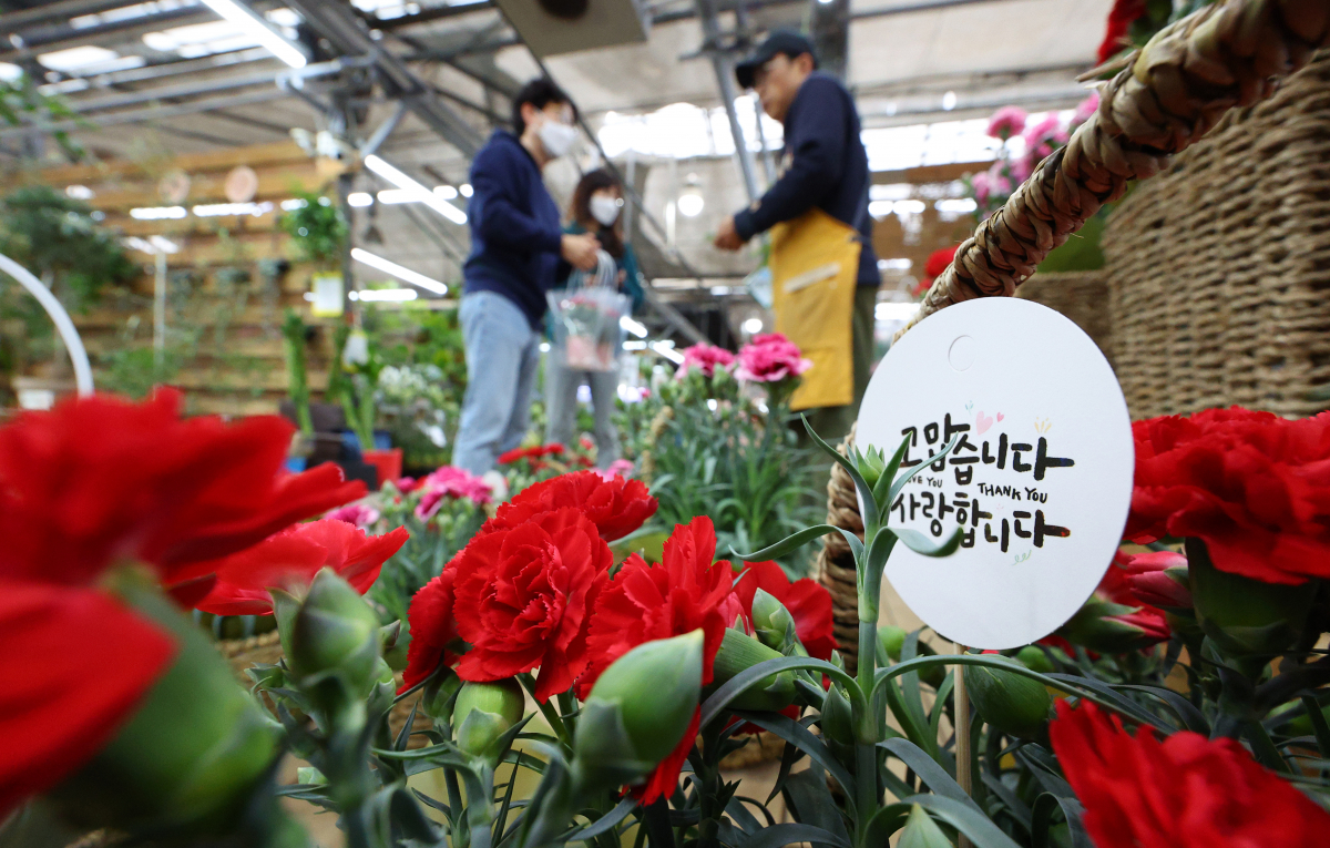 ▲어버이날을 하루 앞둔 7일 오전 서울 서초구 양재동꽃시장을 찾은 시민들이 카네이션을 고르고 있다. 2023.5.7 (연합뉴스)