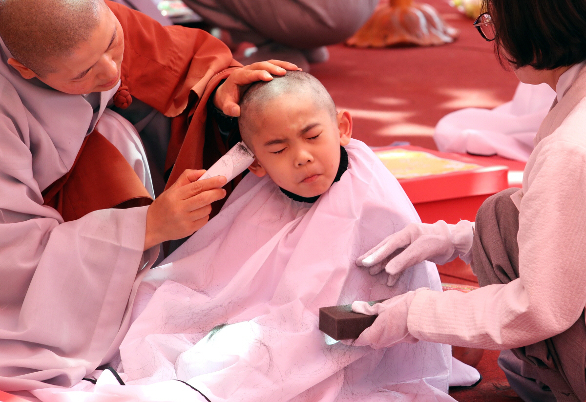 ▲9일 오후 서울 종로구 조계사 대웅전 앞마당에서 열린 동자승 단기출가 보리수 새싹학교 삭발 수계식에서 동자승들이 삭발을 하고 있다. (뉴시스)

