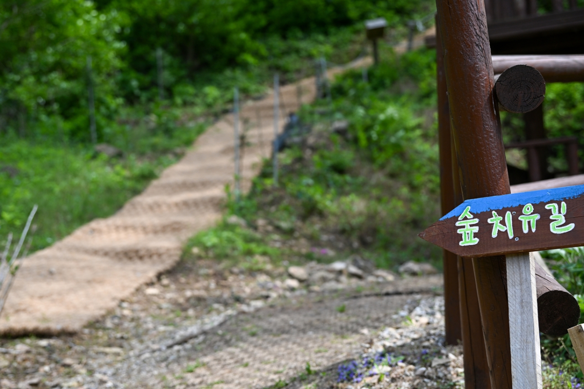 ▲전북 완주군 '드림뜰 힐링팜'의 숲 치유길 입구. (사진=농림축산식품부 동행취재단)