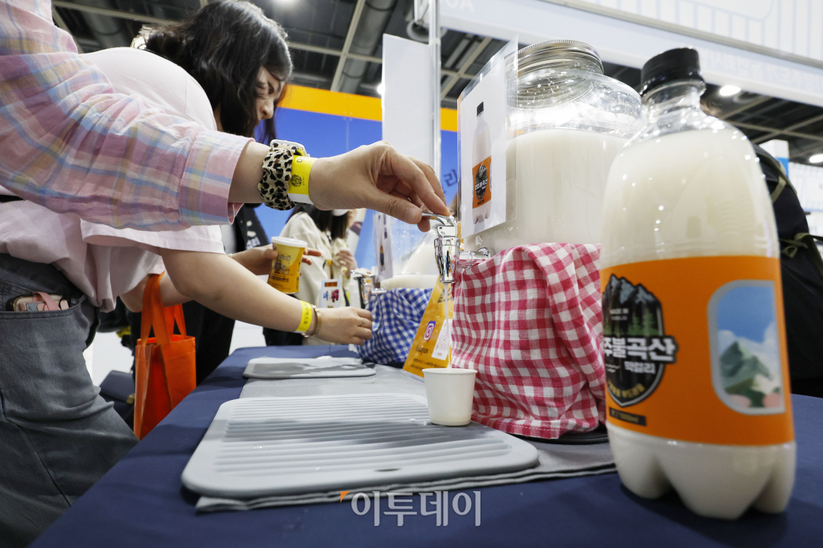 ▲12일 오전 서울 서초구 aT센터에서 열린 '2023 대한민국 막걸리엑스포(MAXPO 2023)'에서 관람객들이 막걸리 시음을 하고 있다. '이것이 국주(國酒)다'를 주제로 이날부터 14일까지 3일간 열리는 2023 대한민국 막걸리엑스포는 국가무형문회재 제144호로 지정된 막걸리를 대중들에게 소개하고 국내 대표·지역 대표 양조장들이 참여해 다양한 행사와 주력 막걸리, 최신 트렌드 막걸리를 선보인다. 조현호 기자 hyunho@