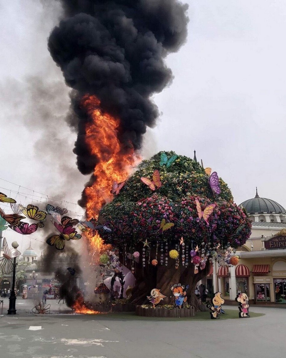 (출처=인터넷 커뮤니티 캡처)