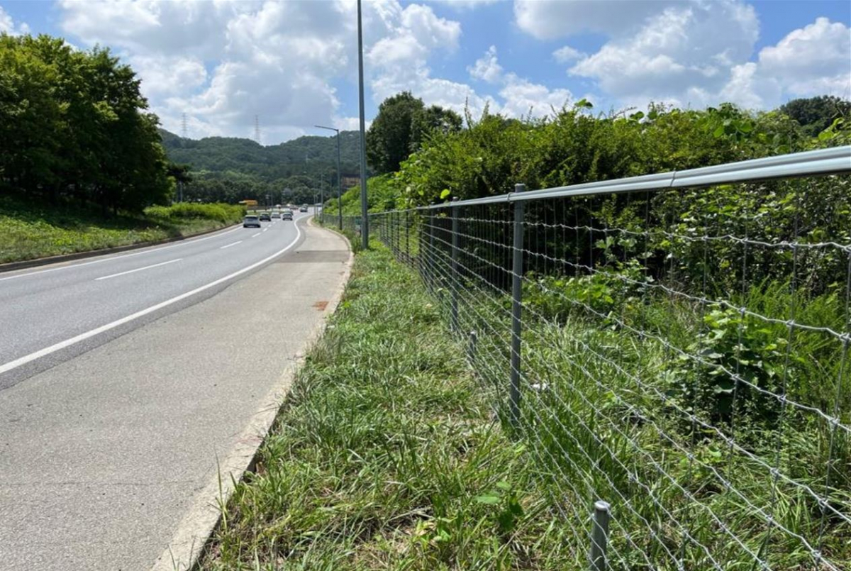 ▲야생동물 침입방지 유도울타리. (사진제공=한국도로공사)