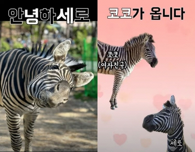 ▲출처=서시공TV 캡처