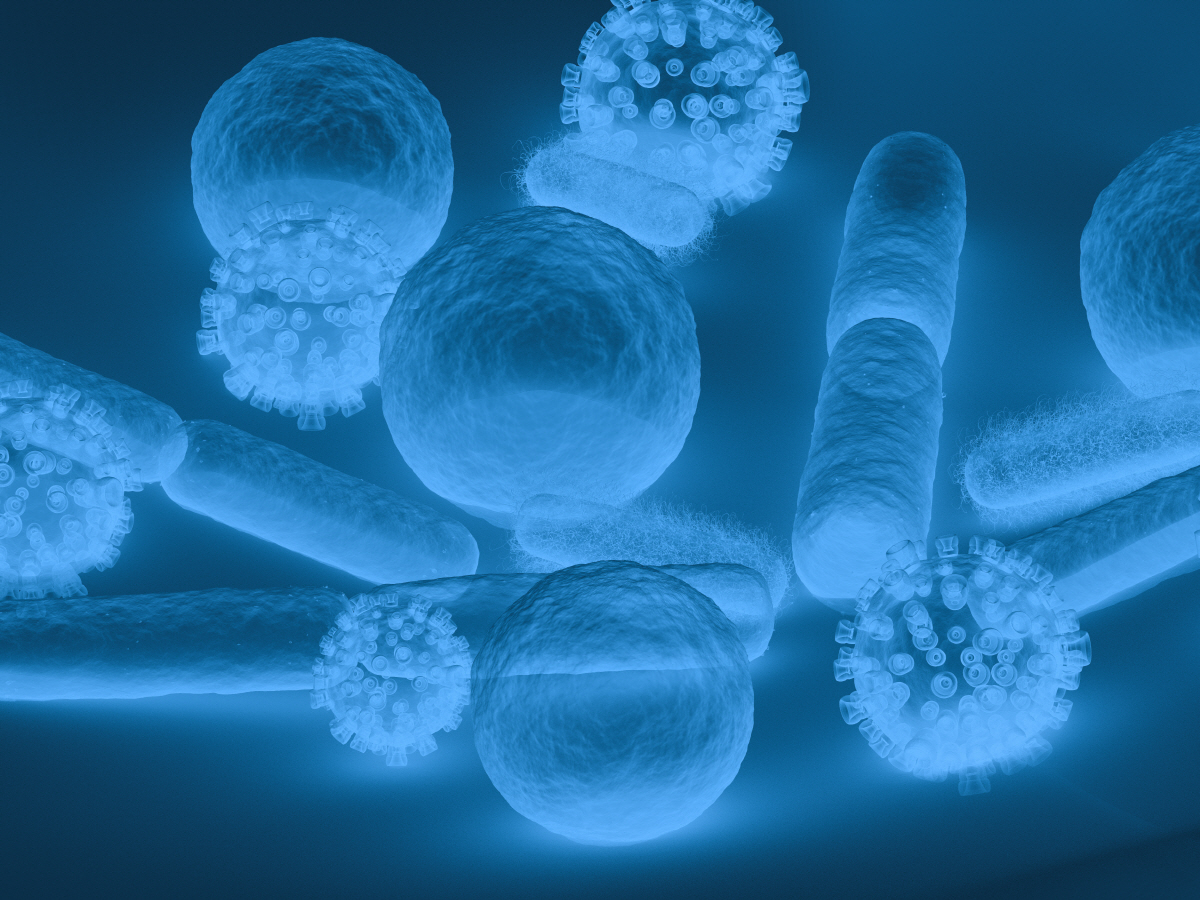 ▲출처=게티이미지뱅크
