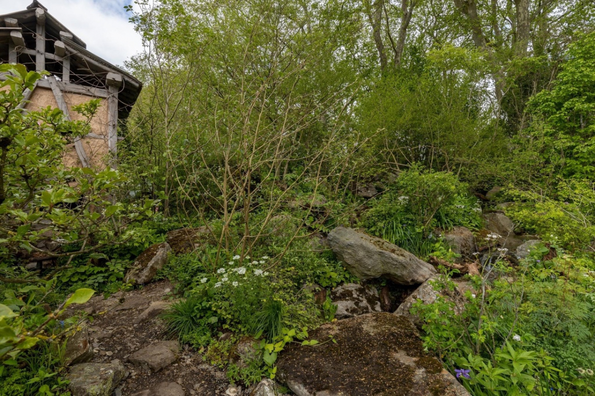 ▲황지해 작가의 '백만년 전으로부터 온 편지 (사진제공=산림청)