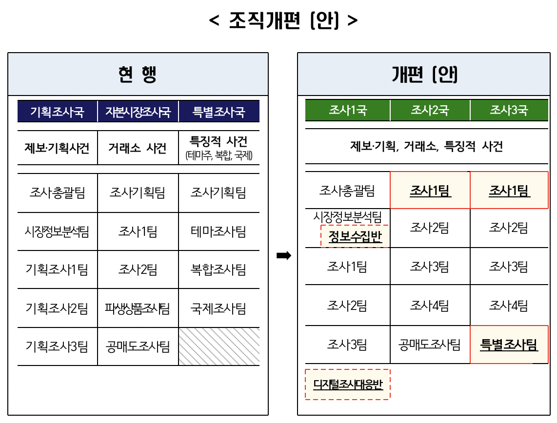 (출처=금융감독원)