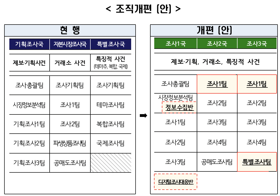 (출처=금융감독원)