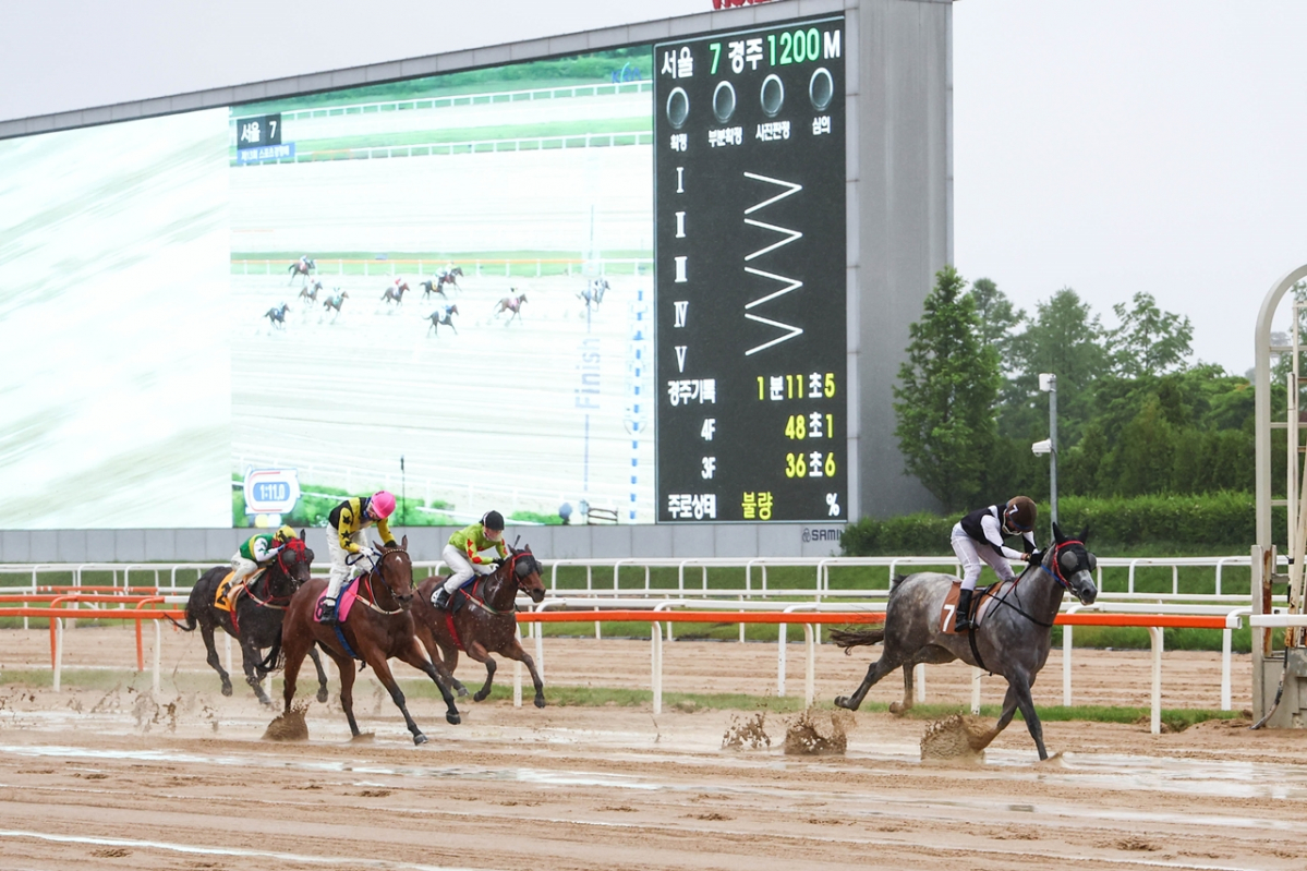 ▲28일 렛츠런파크서울에서 열린 스포츠경향배에서 우승을 차지한 경주마 라누트와 안토니오 기수. (사진제공=한국마사회)