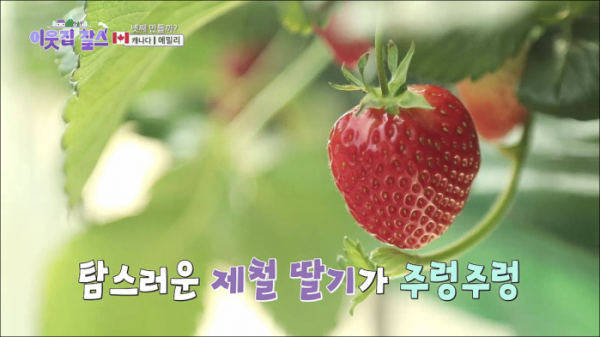 ▲'이웃집찰스'(사진제공=KBS 1TV)