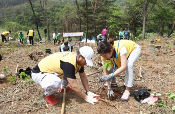 ▲4일 동해시 산불피해지역에서 이마트 임직원들이 나무심기 봉사활동을 하고 있다. (사진제공=이마트)