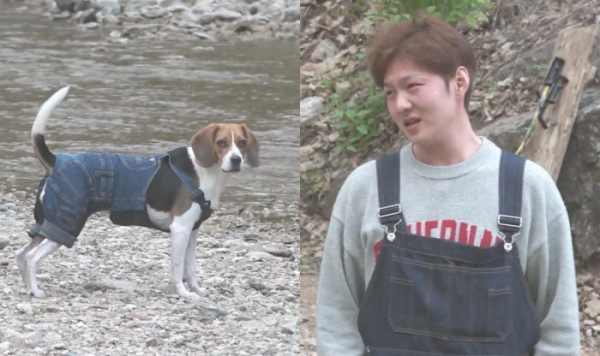 ▲'나혼자 산다' 이창섭 차타고 반려견 캠핑장(사진제공=MBC)