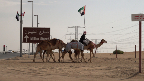 ▲'걸어서 세계속으로'(사진 = KBS1 제공)
