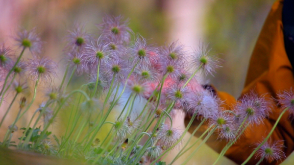 ▲'영상앨범 산'(사진제공=KBS 2TV)