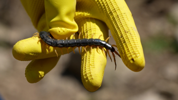 ▲'극한직업'(사진제공=EBS1)