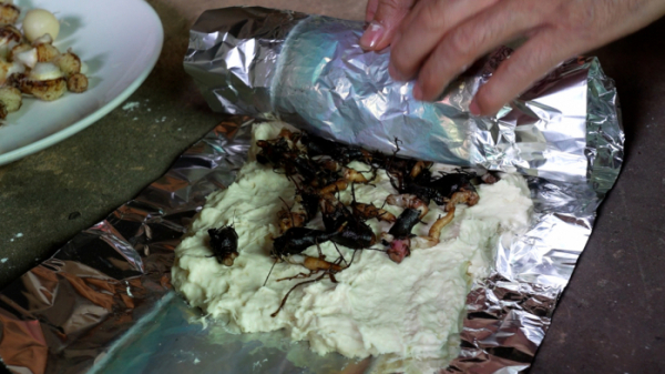 ▲'극한직업'(사진제공=EBS1)