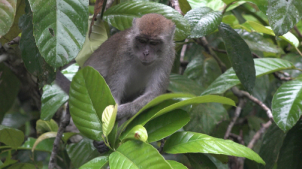 ▲'걸어서 세계속으로'(사진제공=KBS 1TV)