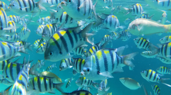 ▲'걸어서 세계속으로'(사진제공=KBS 1TV)