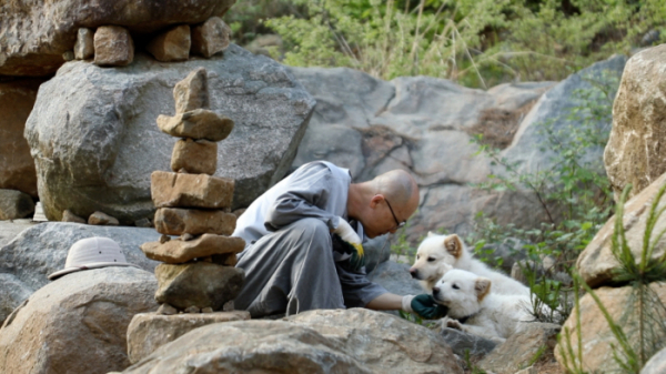 ▲'동물극장 단짝'(사진제공=KBS 1TV)