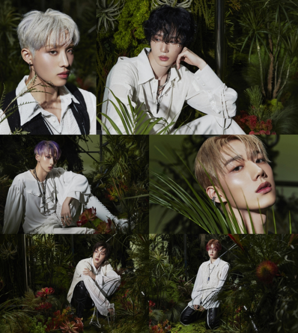 ▲피원하모니(사진=FNC엔터테인먼트)