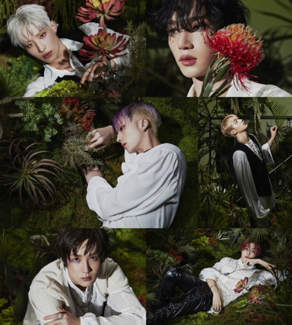 ▲피원하모니(사진=FNC엔터테인먼트)