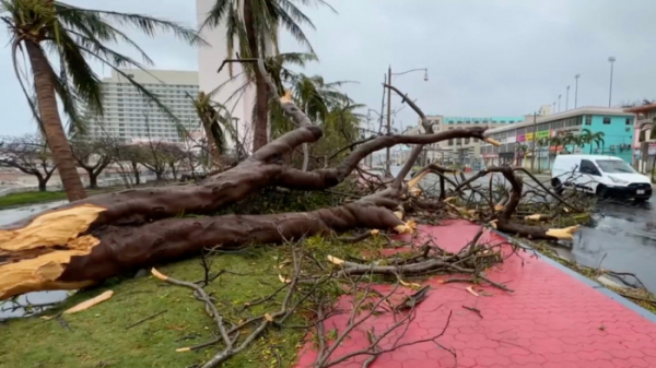 ▲'슈퍼 태풍' 마와르가 태평양의 미국령 괌을 강타한 25일(현지시간) 나무들이 강풍에 꺾여 거리에 쓰러져 있다. (연합뉴스)