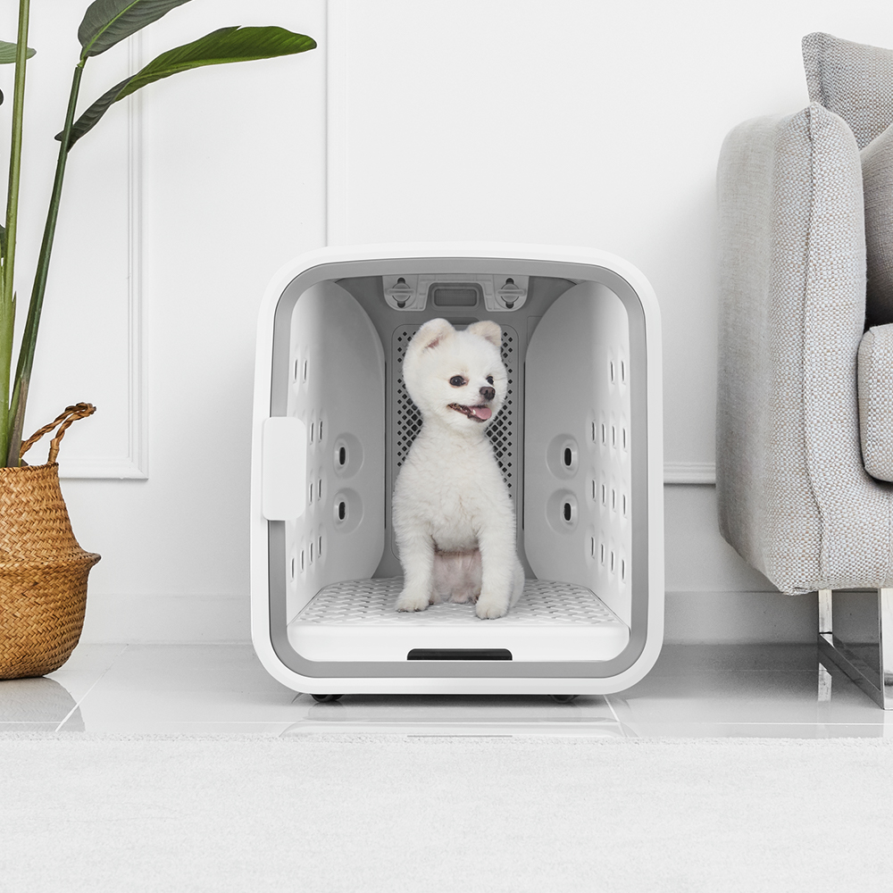 ▲쿠쿠전자 넬로의 '펫 에어샤워&드라이룸'. (사진제공=쿠쿠전자)