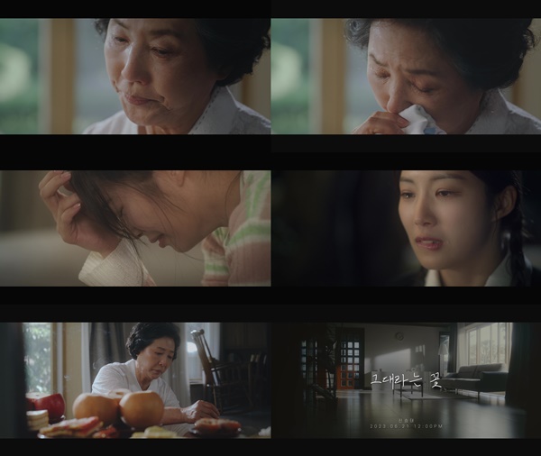 ▲신승태(사진제공=드림오브베스트)