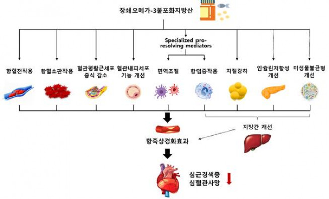 ▲오메가3가 동맥경화증을 억제하고 심혈관위험을 낮추는 기전 (사진제공=분당서울대병원)