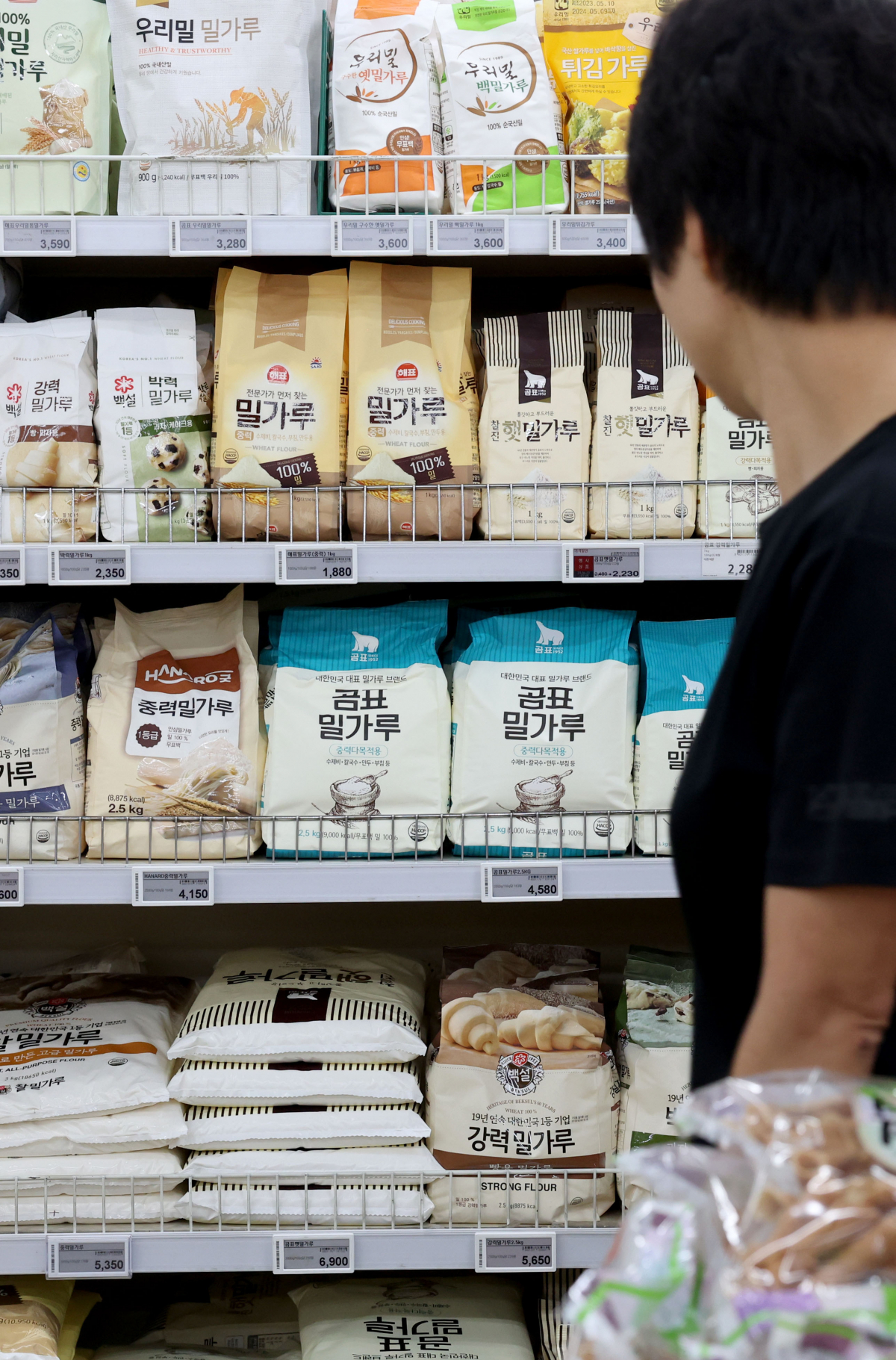 ▲농림축산식품부가 제분업체들과 간담회를 열고 밀가루 가격 안정에 대한 협조를 요청할 것으로 알려진 26일 서울의 한 대형마트에서 시민들이 밀가루를 살펴보고 있다. 국제 밀 가격은 우크라이나 전쟁 이후 급등했다가 올해 안정화 추세를 보이고 있다. 지난해 5월, 밀의 선물가격은 톤당 419달러까지 올랐다가, 올해 2월에는 톤당 276달러로 떨어졌다. 지난 3월 농식품부는 제분업계와 만나 밀가루 가격 안정을 요청했지만, 인건비와 물류비 등 원가 부담 가중으로 난색을 보였다. 신태현 기자 holjjak@