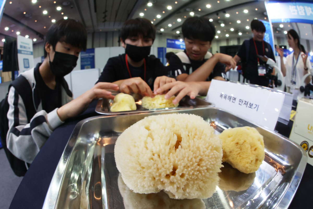 ▲28일 경기 고양시 킨텍스에서 열린 ‘2023 해양바이오 박람회’ 국립해양생물자원관 부스에서 학생들이 목욕 스펀지로 쓰이는 해양생물을 만져보고 있다. ‘바다가 꿈꾸는 내일, 미래를 만나는 해양바이오’를 주제로 29일까지 진행되는 박람회에선 국내 50개의 해양바이오 기업이 보유한 기술과 제품을 전시·홍보하고, 충청남도와 전라남도 등 4개 지자체가 공동으로 해양바이오 주요 정책과 기업 유치 활동 등을 소개하는 지역관도 운영한다. 신태현 기자 holjjak@