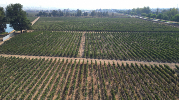 ▲'걸어서 세계속으로' 칠레(사진제공=KBS 1TV)