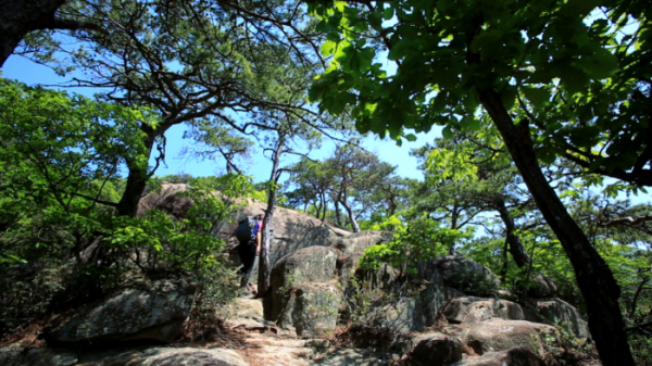 ▲'영상앨범 산'(사진제공=KBS 2TV)