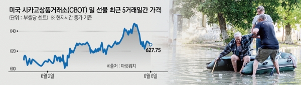 ▲사진은 우크라이나 헤르손에서 6일(현지시간) 카호우카 댐 파괴로 홍수가 일어나자 사람들이 보트에 노인을 태워 대비시키고 있다. 헤르손(우크라이나)/EPA연합뉴스
