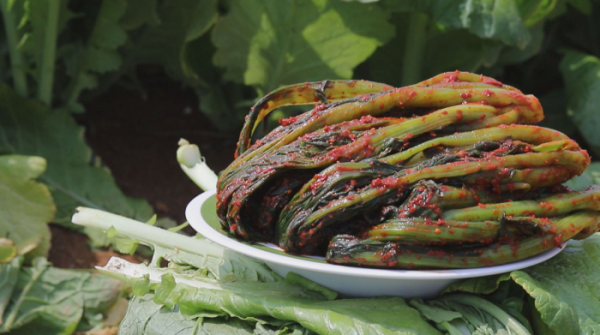 ▲'서민갑부' 곽진영 갓김치(사진제공=채널A)