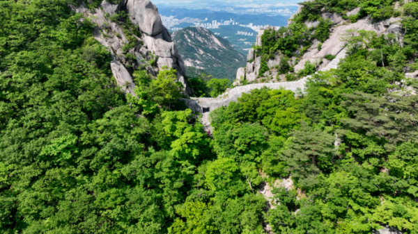 ▲'영상앨범 산' (사진제공=KBS 2TV)