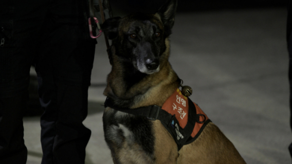 ▲'생존게임 코드레드'(사진제공=KBS2)