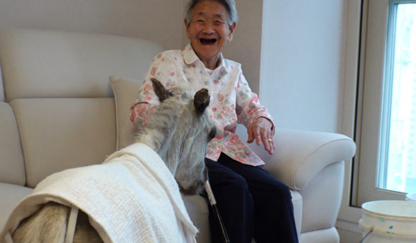 ▲'TV동물농장' (사진제공=SBS)