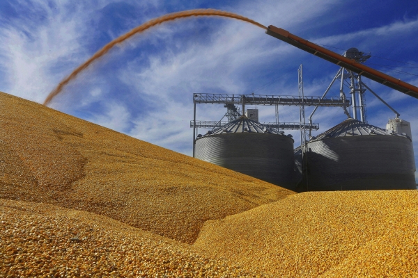 ▲미국 일리노이주 버지니아의 한 곡물 엘리베이터(대형 곡물 저장 시설) 인근에 수확된 옥수수가 쌓여있다. 버지니아(미국)/AP뉴시스
