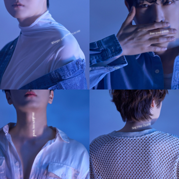 ▲포레스텔라(사진 = 비트인터렉티브 제공)