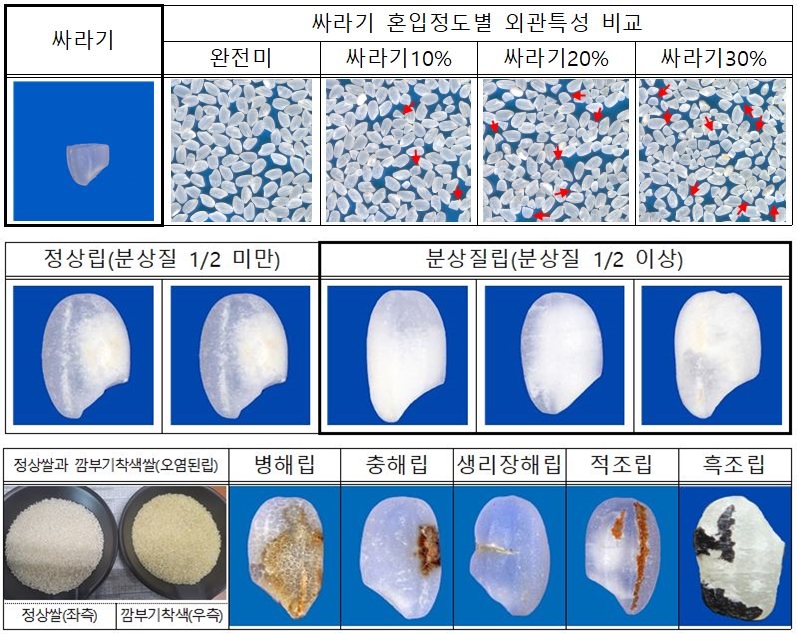 ▲쌀 등급 기준이 되는 싸라기와 분상질립, 피해립. (자료제공=농림축산식품부)