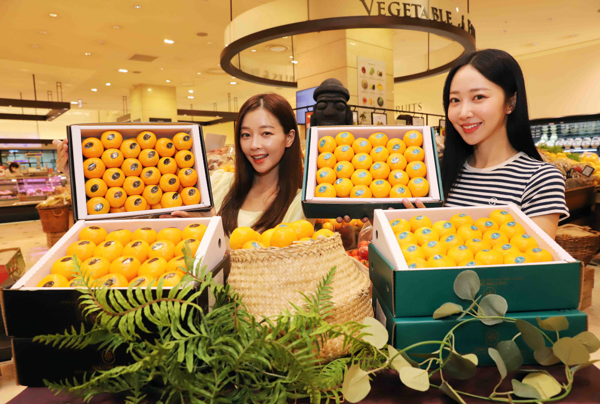 ▲모델들이 2일 신세계 강남점의 고당도 프리미엄 감귤을 소개하고 있다. (사진제공=신세계백화점)