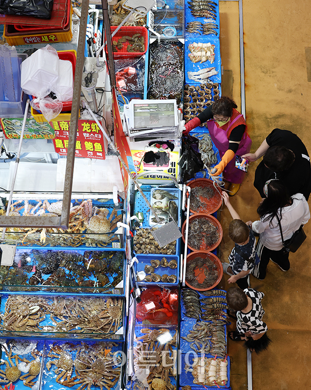 ▲라파엘 그로시 국제원자력기구(IAEA) 사무총장이 기시다 후미오 일본총리와 면담 후 후쿠시마 오염수 방류 최종 보고서를 공개할 예정인 가운데 4일 서울 동작구 노량진수산물도매시장에서 외국인 관광객들이 수산물을 살펴보고 있다. 고이란 기자 photoeran@