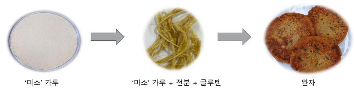 ▲국산 콩 미소를 이용한 식물성 대체식품 가공 과정. (자료제공=농림축산식품부)