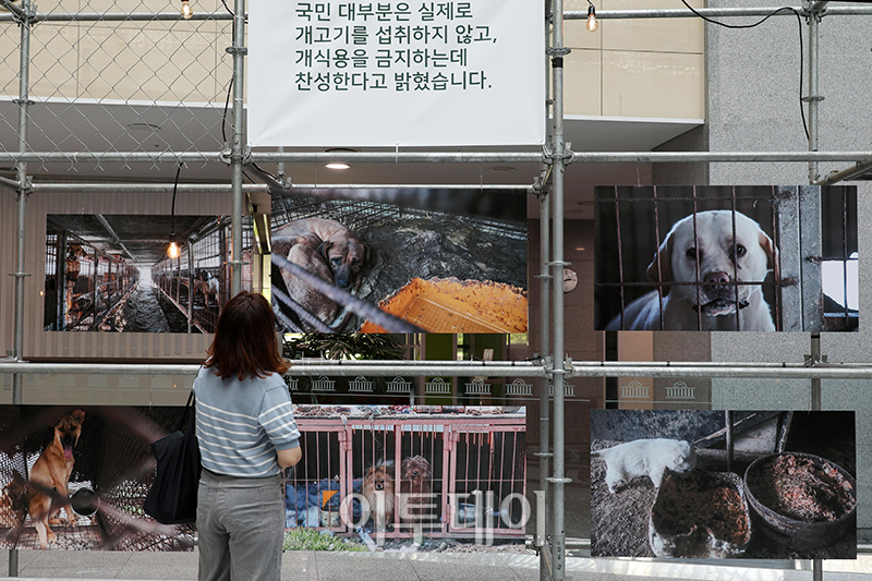 ▲개식용 종식법안 통과를 위한 사진전이 10일 서울 여의도 국회 의원회관에서 열린 가운데 참석자들이 사진을 관람하고 있다. 고이란 기자 photoeran@