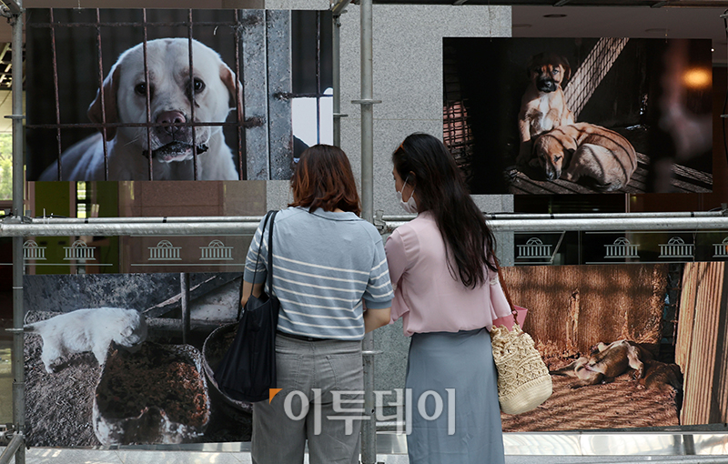 ▲개식용 종식법안 통과를 위한 사진전이 10일 서울 여의도 국회 의원회관에서 열린 가운데 참석자들이 사진을 관람하고 있다. 고이란 기자 photoeran@