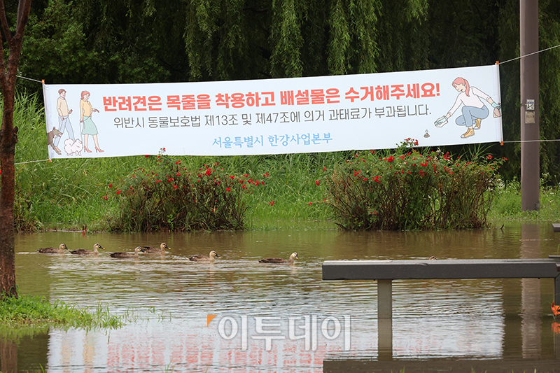 ▲전국 대부분 지역에 강한 장맛비가 쏟아지는 14일 서울 반포 한강공원이 전날 내린 집중호우로 물에 잠겨 있다. 고이란 기자 photoeran@