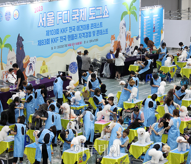 ▲서울 FCI 국제 도그쇼 첫날인 14일 서울 서초구 aT센터에서 KKF 전국 애견미용 콘테스트가 열리고 있다. 고이란 기자 photoeran@