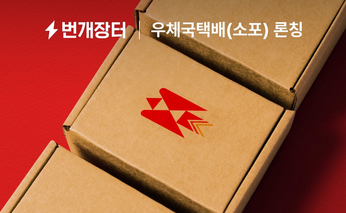 (사진제공=번개장터)