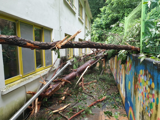 ▲16일 밤사이 강원 영월군 산솔면에서 집중호우로 인한 산사태가 발생해 녹전중학교 펜스 등 일부 시설이 훼손됐다. 다친 사람은 없었으며 도 교육청과 학교 측은 학사일정 변동을 협의하고 있다.  (연합뉴스)